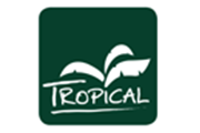 Tropical Aloe Vera